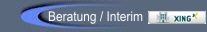 Beratung / Interim